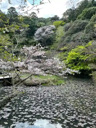 小松寺の庭園