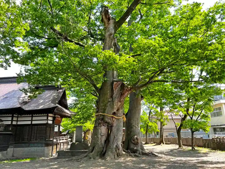 美和神社(長野県)