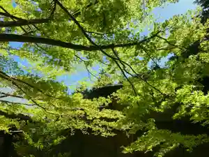 滑川神社 - 仕事と子どもの守り神(福島県)(2023年04月20日(木) 09時16分39秒投稿)