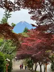 新倉富士浅間神社(山梨県)