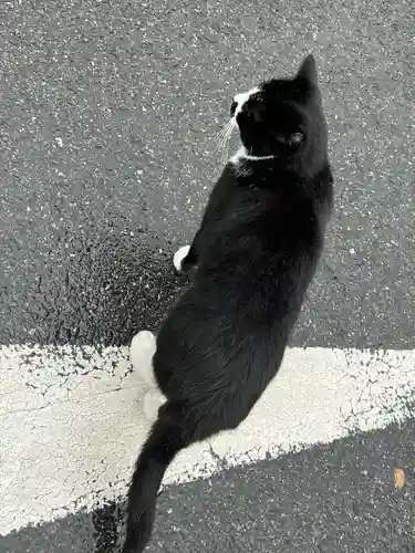 唐澤山神社(栃木県)