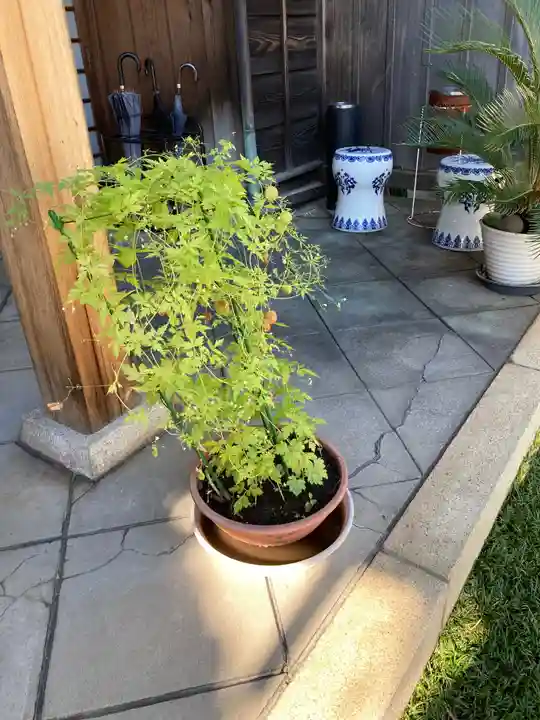 金藏院(神奈川県)