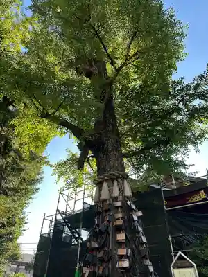 素盞雄神社(東京都)
