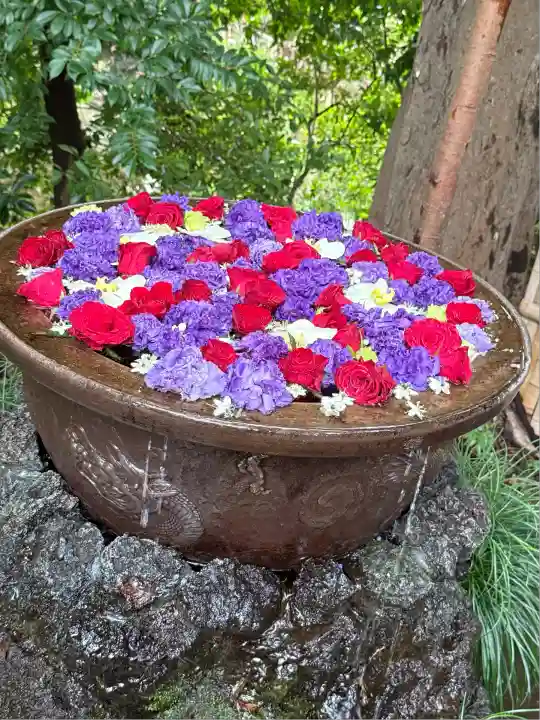 武蔵一宮氷川神社(埼玉県)