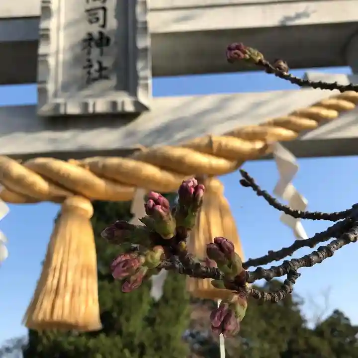 高司神社〜むすびの神の鎮まる社〜(福島県)