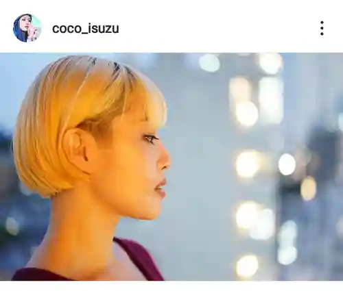 白狐山光星寺(山形県)