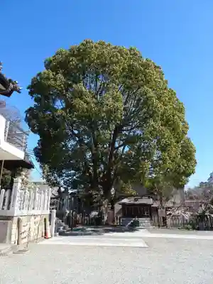 水尾神社(兵庫県)