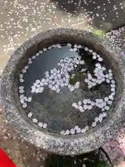 墨染寺（桜寺）(京都府)