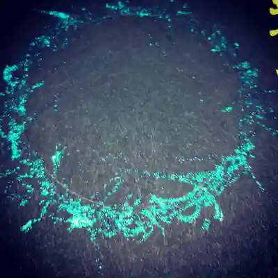 日蓮宗 総本山 塔頭 定林坊(じょうりんぼう)(山梨県)