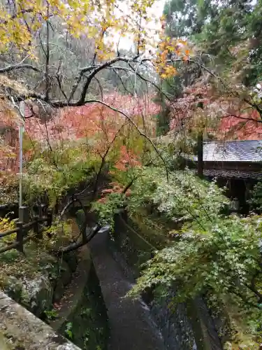 五所駒瀧神社の庭園