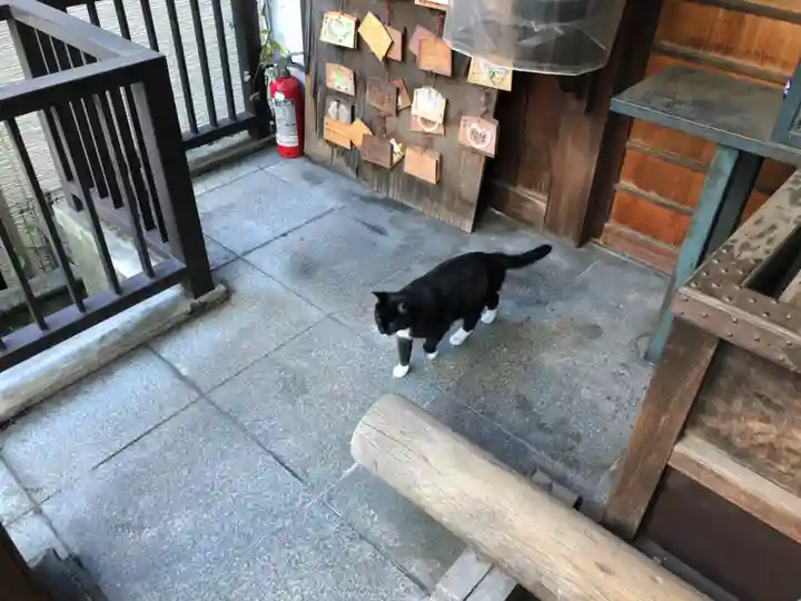 道祖神社の動物