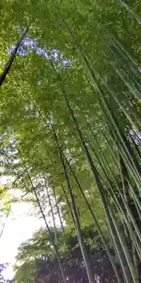 浄妙寺(神奈川県)