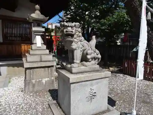 塚本神社の狛犬