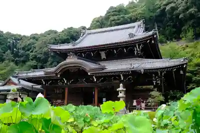 三室戸寺の本殿・本堂