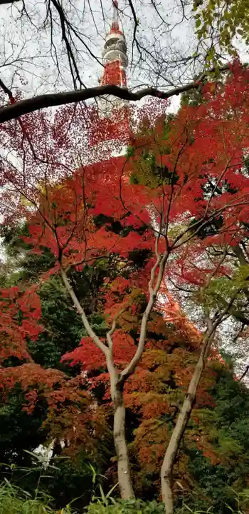 増上寺塔頭 三縁山 宝珠院の自然