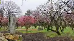 北野天満宮の庭園