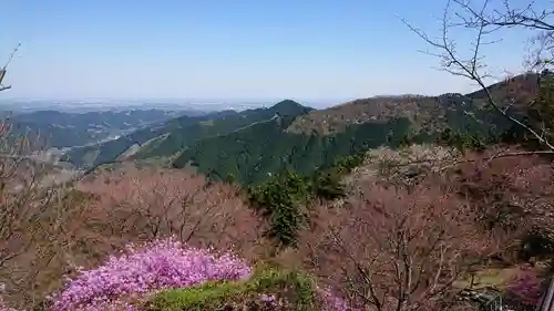 武蔵御嶽神社の景色