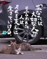 専念寺(大阪府)