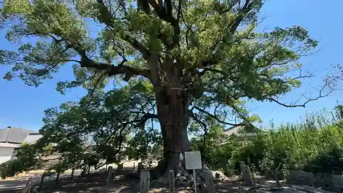 白鳥神社(香川県)