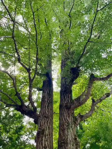 大吉寺(東京都)