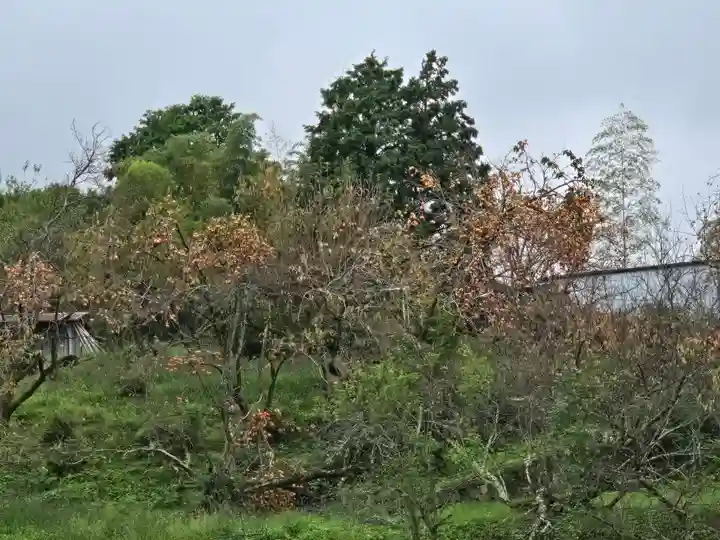 久延彦神社(奈良県)