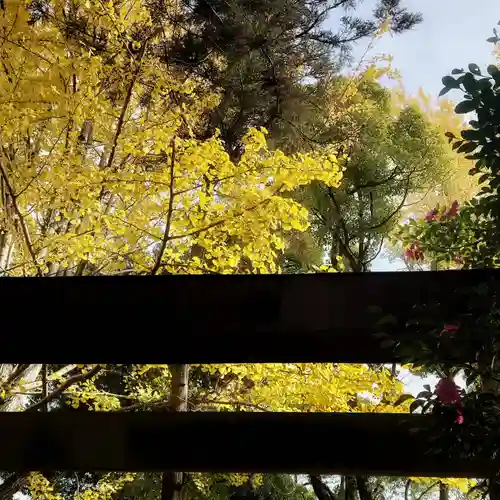 若宮神明社の庭園