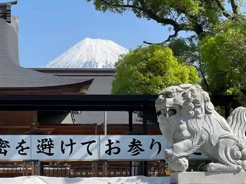 富知六所浅間神社の狛犬