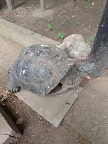 五方山熊野神社(東京都)