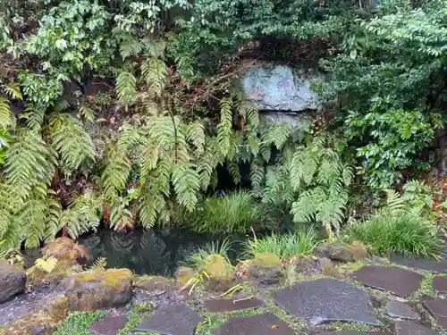 杉本寺のその他建物