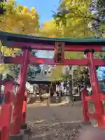 太田窪氷川神社(埼玉県)