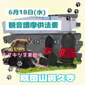 眞久寺の体験その他 2025年06月18日(水)〜(2025年06月16日(月) 20時30分10秒投稿)