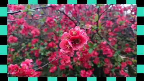 冠稲荷神社(群馬県)