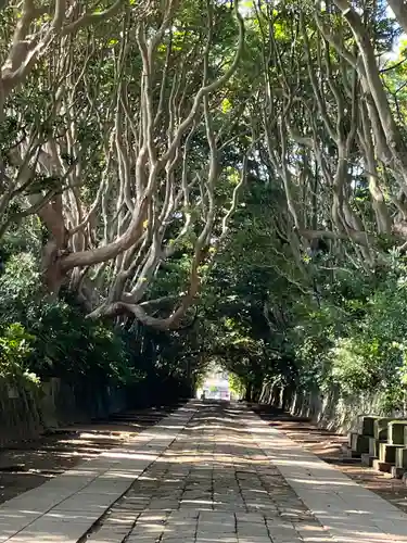 酒列磯前神社の景色