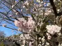 伊勢の国 四天王寺の自然