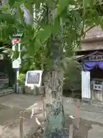 菅生神社の庭園