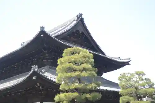 建仁寺（建仁禅寺）(京都府)