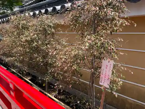 中山寺(兵庫県)