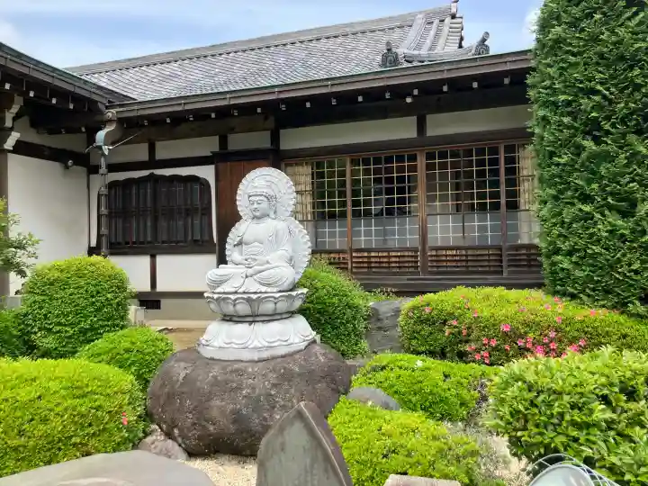 観音寺の{uncategorized: "未分類", other: "その他", undefined: "問題あり", building: "その他建物", grave: "お墓", sacred_gate: "鳥居", guardian: "狛犬", statue: "像", buddha: "仏像", history: "歴史", nature: "自然", garden: "庭園", animal: "動物", pagoda: "塔", temizu: "手水舎", mountain_gate: "山門・神門", sanctuary: "本殿・本堂", subordinate: "末社・摂社", art: "芸術", scenery: "景色", jizo: "地蔵", ema: "絵馬", goshuin: "御朱印", omikuji: "おみくじ", items: "授与品その他", amulet: "お守り", goshuincho: "御朱印帳", eats: "食事", festival: "お祭り", votive_dance: "神楽", shichigosan: "七五三参", wedding: "結婚式", experience: "体験その他", initially: "初詣", around: "周辺", anti_infection: "感染症対策"}