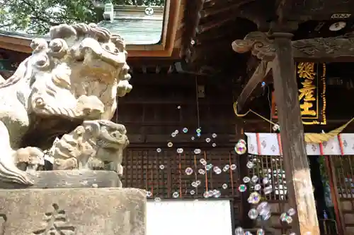 阿邪訶根神社の狛犬