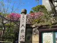 天嶽院(東京都)