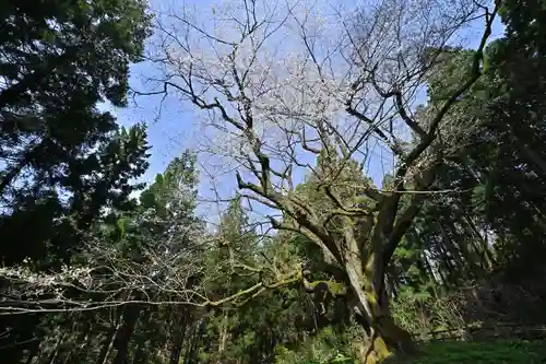 風巻神社奥社(新潟県)