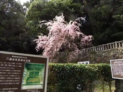 八幡宮來宮神社の庭園