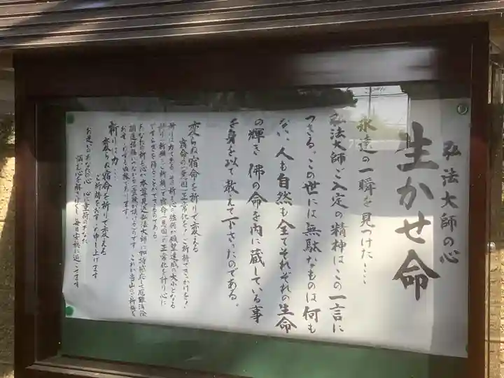 遍照院(愛知県)