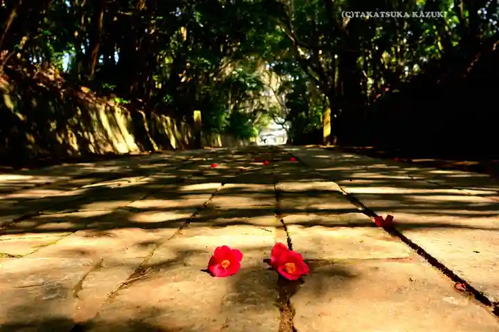 酒列磯前神社(茨城県)