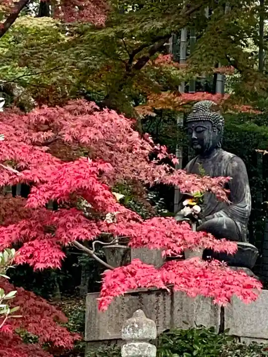 榮攝院(栄摂院)(京都府)