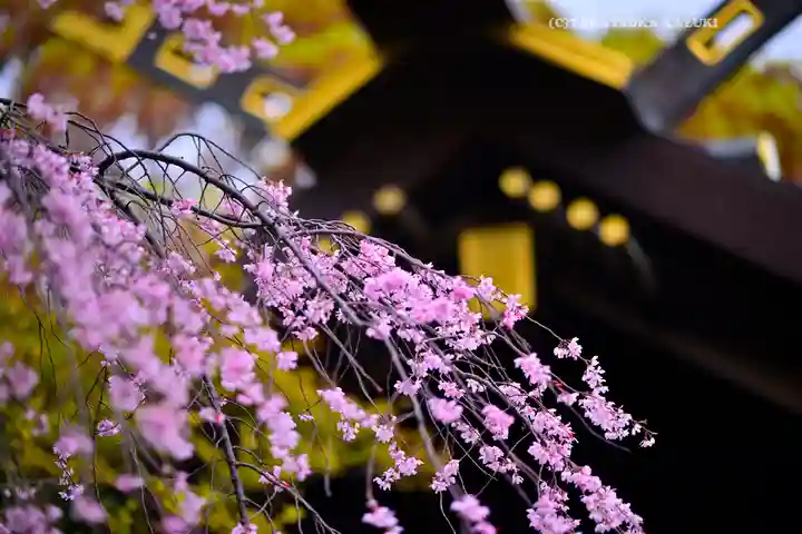 伊勢山皇大神宮(神奈川県)