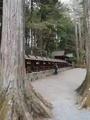 三峯神社(埼玉県)