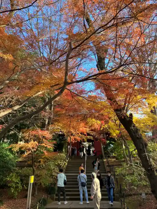 本土寺(千葉県)