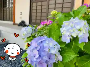 松本山 地福禅寺の自然(2022年06月12日(日) 15時59分24秒投稿)