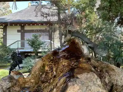 越中一宮 髙瀬神社(富山県)